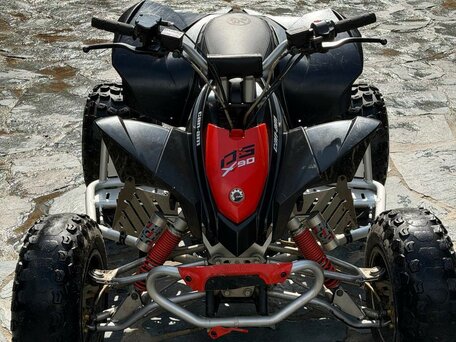 2016 BRP Can-Am DS 90, красный, 200000 рублей, вид 1