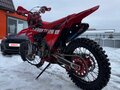 2025 BSE T9, красный, 299000 рублей - вид 9