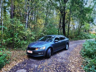2017 Skoda Octavia III (A7), серый, 1490000 рублей, вид 5