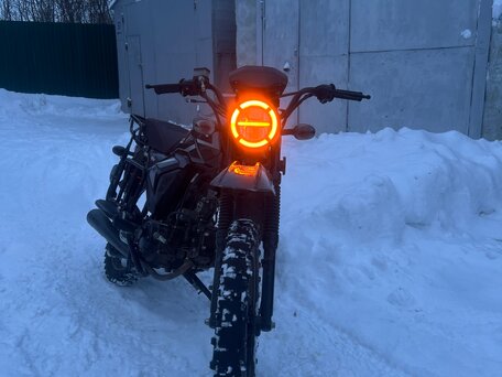 2024 Racer Alpha, чёрный, 50000 рублей, вид 1
