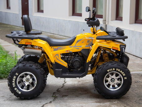 2024 Motoland Wild Track 200 X Pro, жёлтый, 274090 рублей, вид 5