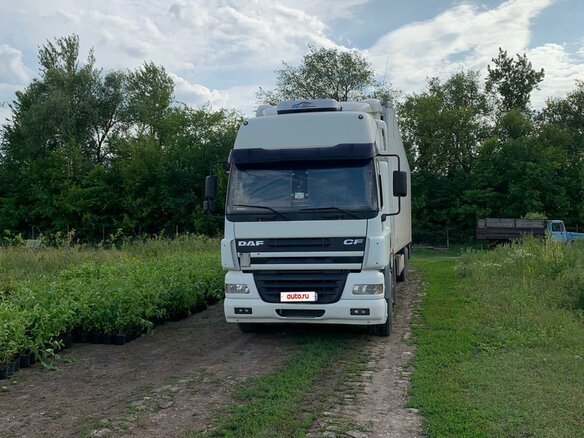 2003 DAF CF-series, белый, 1400000 рублей - вид 5