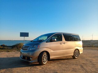 2004 Toyota Alphard I, золотистый, 1850000 рублей, вид 4