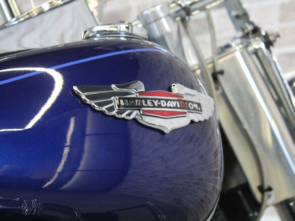 2007 Harley-Davidson Softail Deluxe, синий, 850000 рублей - вид 13