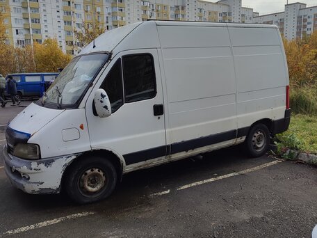 2010 Fiat Professional Ducato, белый, 480000 рублей, вид 1