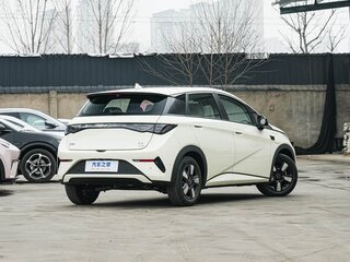 2026 BYD Dolphin 45.12 kWh I Рестайлинг, чёрный, 1800000 рублей, вид 5