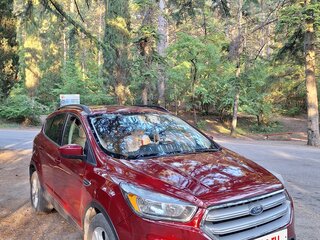 2018 Ford Escape III Рестайлинг, красный, 1800000 рублей, вид 3