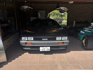 1981 DeLorean DMC-12, серебристый, 15000000 рублей, вид 2