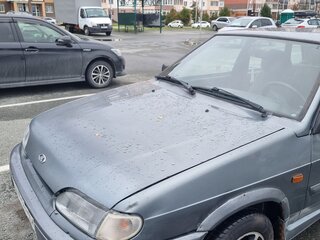 2010 Lada (ВАЗ) 2115, серый, 185000 рублей, вид 2