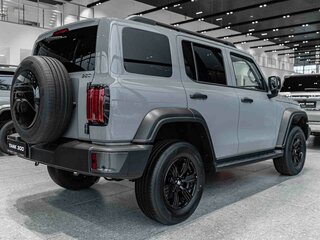 2026 Tank 300 I, серый, 4899000 рублей, вид 5