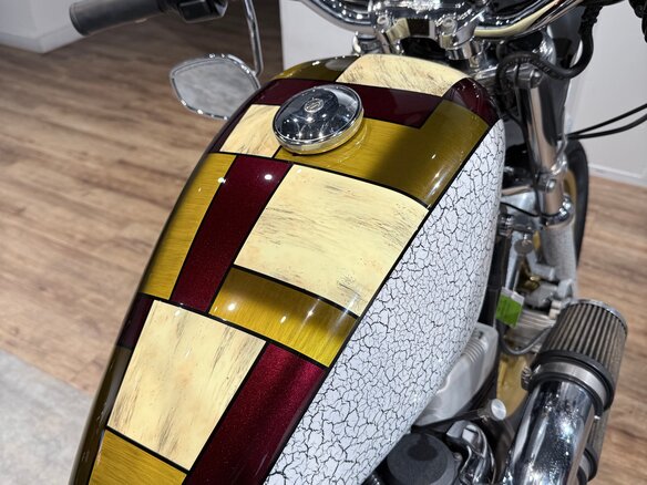 2005 Harley-Davidson Sportster 1200, белый, 850000 рублей - вид 13