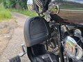2009 Harley-Davidson Electra Glide, чёрный, 1200000 рублей - вид 8