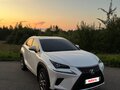2018 Lexus NX 200 I Рестайлинг, белый, 3400000 рублей - вид 1