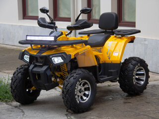 2024 Motoland Wild Track 200 X Pro, жёлтый, 274090 рублей, вид 2