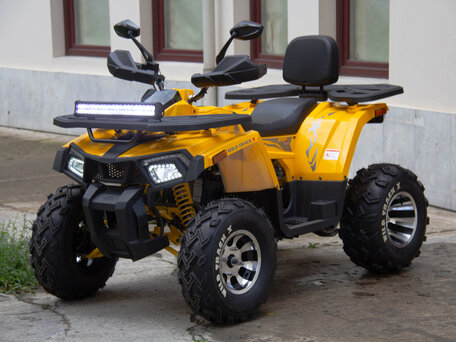 2024 Motoland Wild Track 200 X Pro, жёлтый, 274090 рублей, вид 2