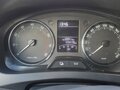 2014 Skoda Rapid I, серебристый, 920000 рублей - вид 8