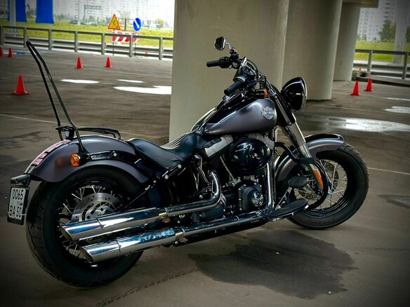 2014 Harley-Davidson Softail Slim, серый, 950000 рублей - вид 12
