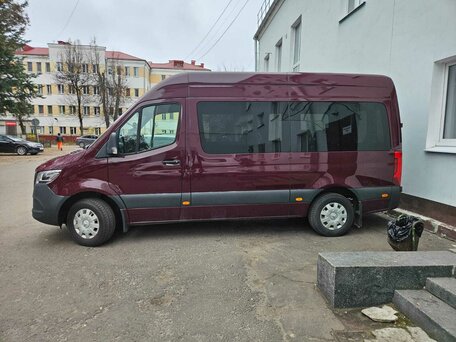 2019 Mercedes-Benz Sprinter, красный, 4500000 рублей, вид 4