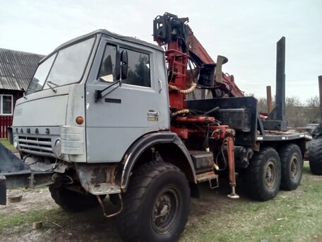 1989 КамАЗ 4310, серый, 1250000 рублей, вид 3