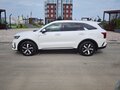 2020 Kia Sorento IV, белый, 3500000 рублей - вид 8