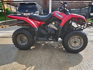 2008 Suzuki Ozark 250, красный, 219000 рублей, вид 4