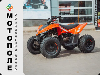 2026 CFMoto CFORCE 110, красный, 299900 рублей, вид 1