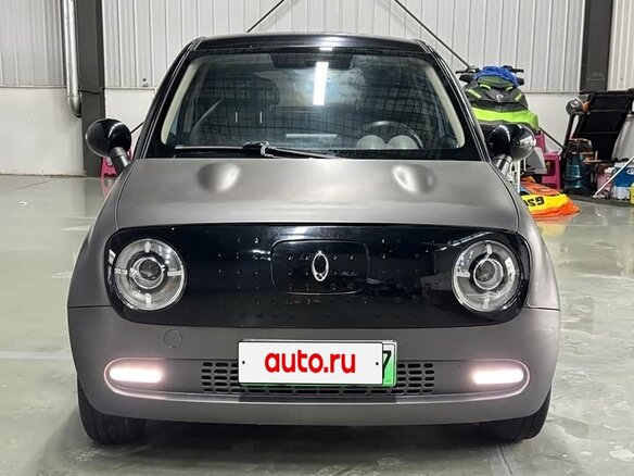 2021 Ora Black Cat 33 kWh, серебристый - вид 1