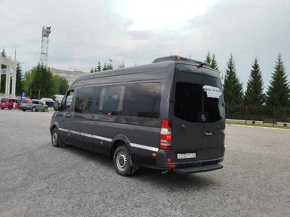 2008 Mercedes-Benz Sprinter, серый, 1700000 рублей - вид 21