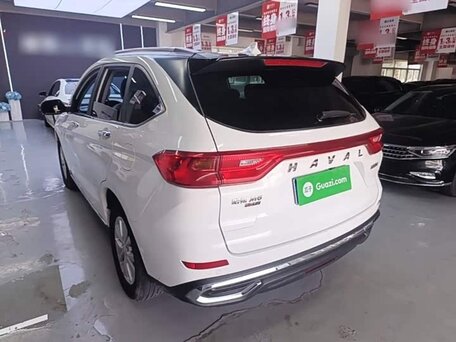 2021 Haval M6 Plus II, белый, 1290000 рублей, вид 4