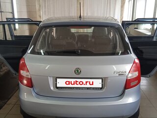 2010 Skoda Fabia II Рестайлинг, голубой, 500000 рублей, вид 5