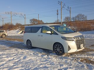 2022 Toyota Alphard III Рестайлинг, белый, 6000000 рублей, вид 2