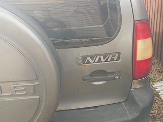 2007 Chevrolet Niva I, серый, 320000 рублей, вид 5