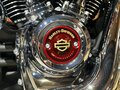 2023 Harley-Davidson Fat Boy, пурпурный, 3550000 рублей - вид 9