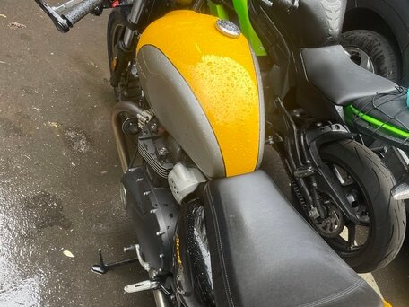 2017 Triumph Street Cup, жёлтый, 710000 рублей, вид 4