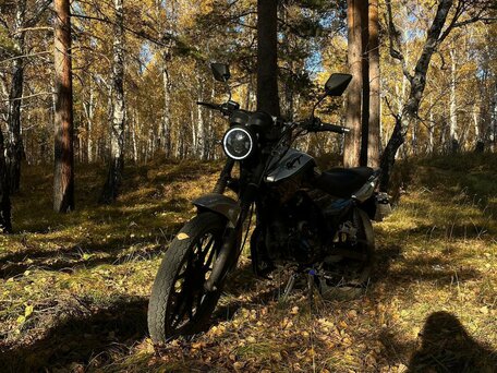 2024 Racer Tiger, серый, 100000 рублей, вид 4