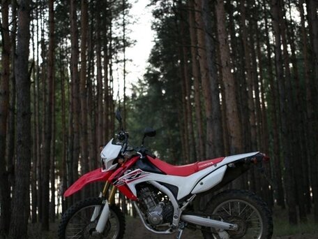 2014 Honda CRF 250L, красный, 500000 рублей, вид 3