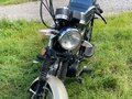 2022 Racer Stells, бежевый, 40000 рублей