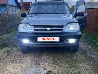 2005 Chevrolet Niva I, серый, 250000 рублей, вид 1