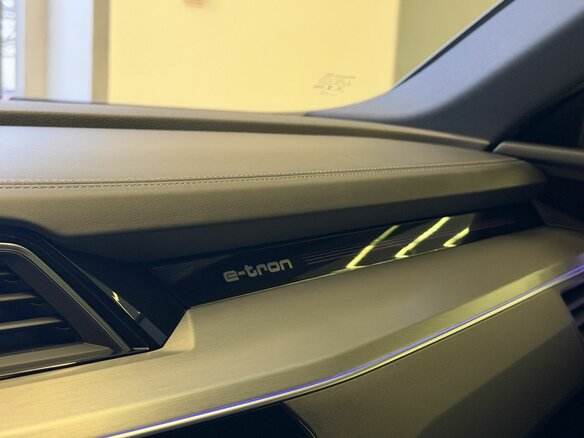 2020 Audi e-tron 55 I, голубой, 4390000 рублей - вид 19