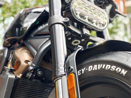 2022 Harley-Davidson Sportster S, чёрный, 1450000 рублей, вид 4