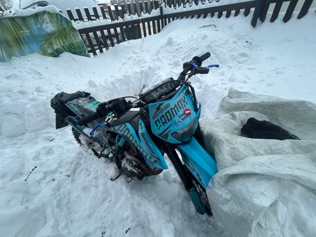 2025 Promax ATV 300, синий, 145000 рублей, вид 4