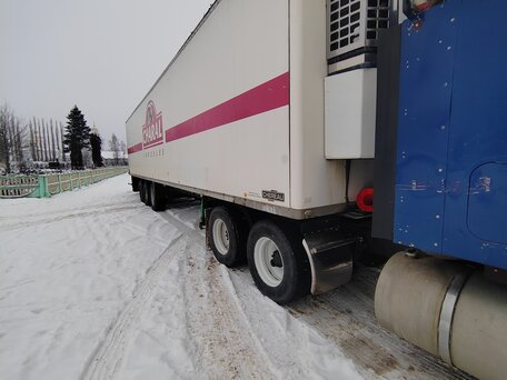 1995 Trailor Trailor, белый, 650000 рублей, вид 3