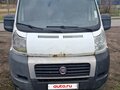 2014 Fiat Professional Ducato, белый, 1100000 рублей