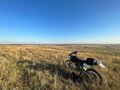 2004 Honda XR 250, белый, 250000 рублей - вид 5