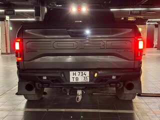 2017 Ford F-150 Raptor XIII, серый, 7100000 рублей, вид 4