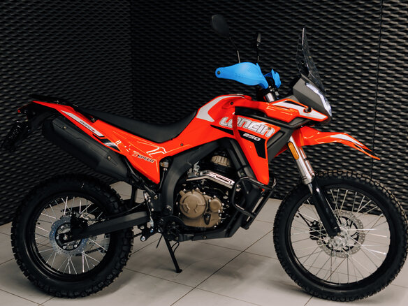 2025 Loncin DS250, красный, 258000 рублей - вид 2