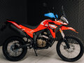 2025 Loncin DS250, красный, 258000 рублей - вид 2