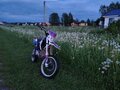 2021 Wels RT 140, фиолетовый, 83000 рублей - вид 2
