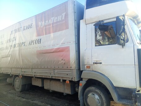 2006 МАЗ 4370, белый, 630000 рублей, вид 1