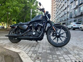 2019 Harley-Davidson Sportster 883, серый, 883000 рублей, вид 4
